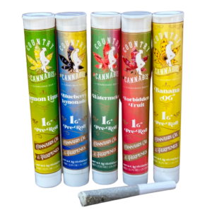 Delta 9 1g PreRoll - 1-Pack