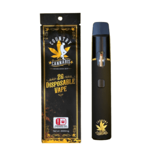 Delta 9 Disposable Vape - 2g